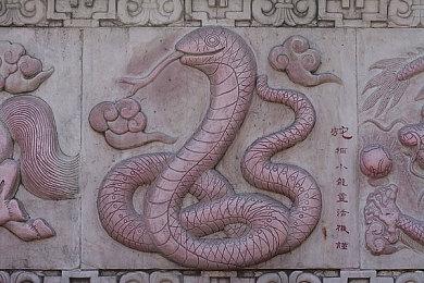 《星空》最新更新B测版Steam上线 修复海量问题改进照相表情