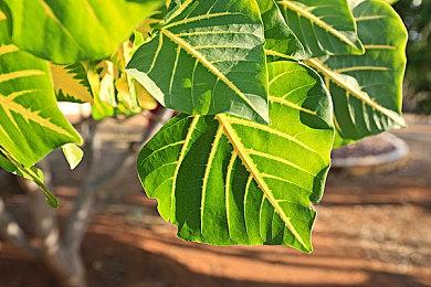 免费送Switch、500元京东卡！每日登录赢大奖